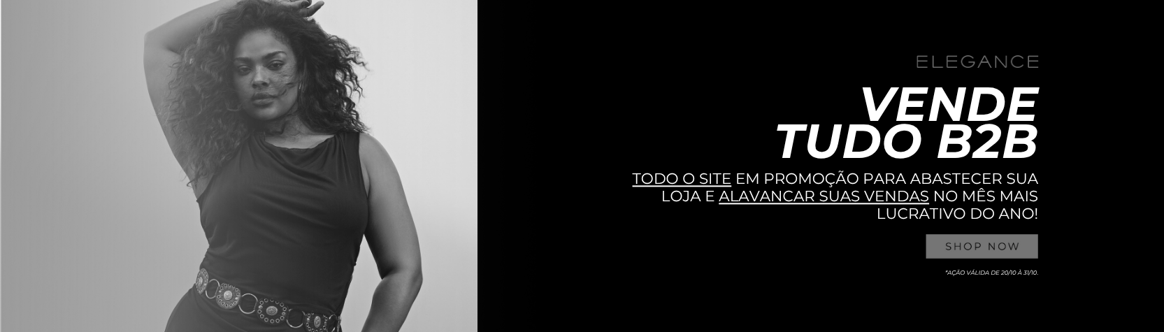 BANNER DESCK - B2B - VENDE TUDO.png